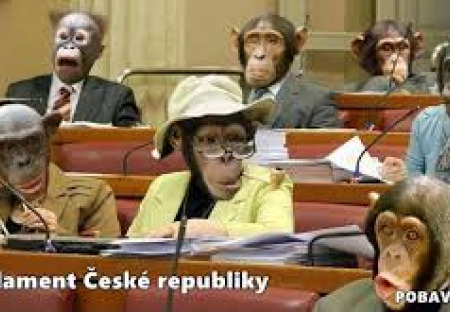 Otevřený dopis politikům České republiky.