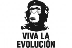 evolucni-omyly-odemykani-tajemstvi-zivota