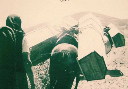 Srebrenica - Dopis médiím