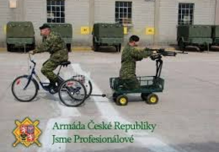 ČR může být zemí bez stálé armády