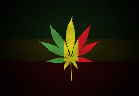 Piráti k dalšímu vývoji kauzy Growshopy: Hon na čarodějnice pokračuje.