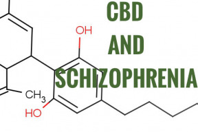 cbd-jak-ho-mozna-jeste-neznate