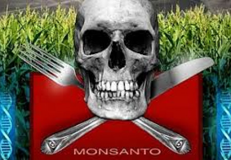 Jak bylo Monsanto, které otrávilo celou planetu, označeno za jednu z nejobdivovanějších společností na světě