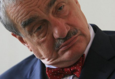 Otevřený dopis Karlu Schwarzenbergovi