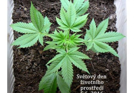 Světový den životního prostředí 6.5. 2016
