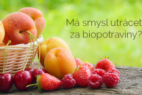 vsechno-co-je-bio-frci