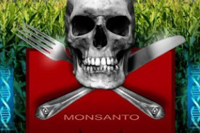 patrik-linhart-o-gmo-v-informacnej-vojne
