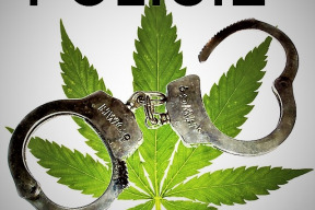 marihuana-posili-statni-rozpocet