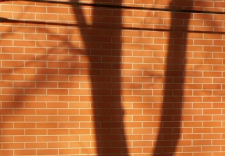 Sluneční světlo a stíny vybraných zlínských fasád