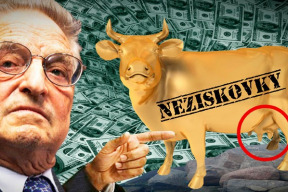 na-statu-parazitujici-neziskovky-a-chranene-dilny-museji-byt-zruseny