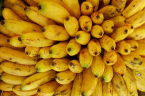hrozi-fronty-na-banany