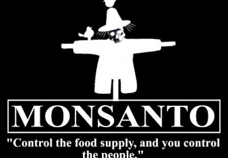 Včely v Mexiku vyhrály! Soud zrušil povolení pro Monsanto.