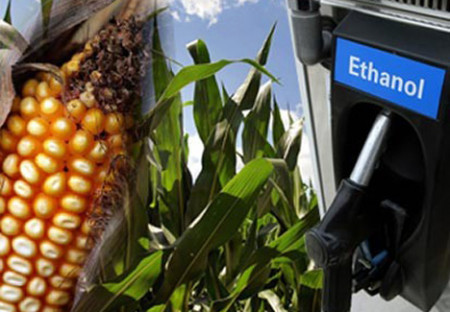 Benzín vs. potraviny: ethanolová krize