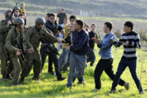 idf-palestimci