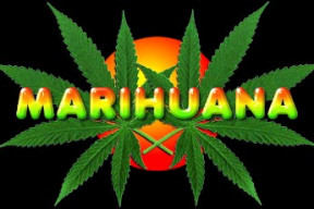 marihuana