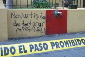 mexiko-anarchy