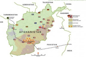 tapi