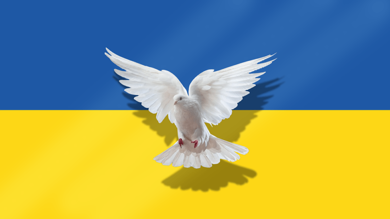 mirotvorce-smrti-tato-ukrajinska-webova-stranka-vyhrozuje-statisicum-lidi-mimosoudnimi-popravami-nekteri-z-nich-jsou-americane