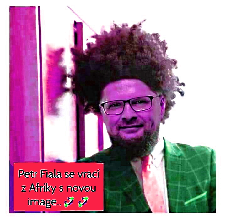 zaoralek-o-zahranicni-politice-fialovych-diletantu