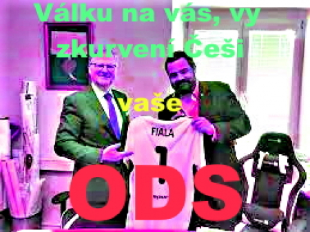 Vrána k vráně aneb Svině k praseti
