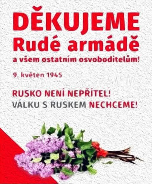nocni-vlci-v-praze-cast-1-6-5-2025-olsanske-hrbitovy-praha-3