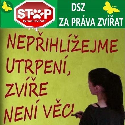 prohlaseni-dsz-za-prava-zvirat-k-nadchazejicimu-pochodu-za-prava-zvirat-the-official-animal-rights-march-2025-v-praze