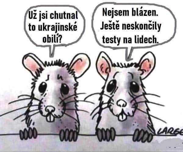 lidova-tvorivost-nejen-na-tema-fialove-zumpy-31-8-2025